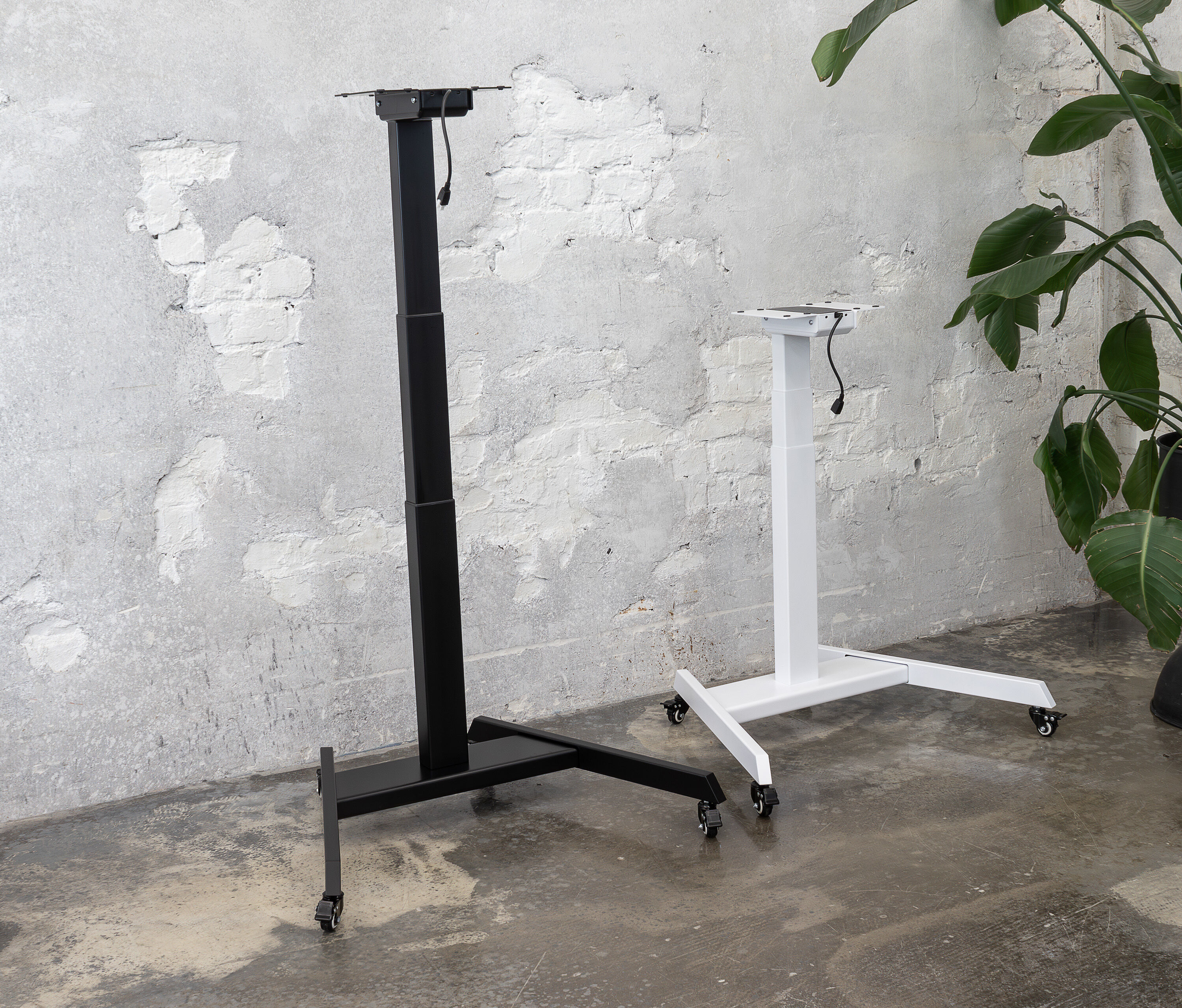 FOKUS Single bureau