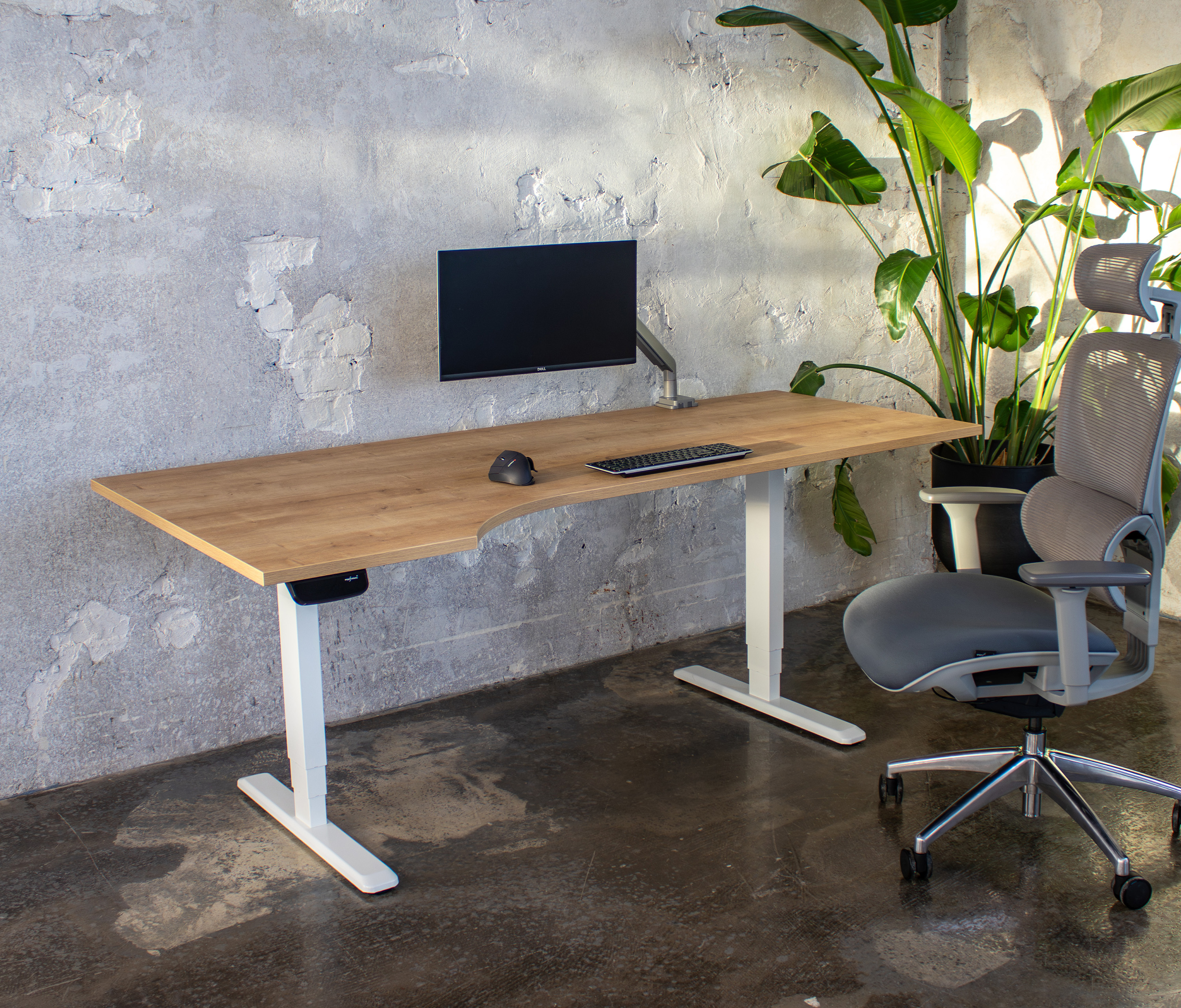PRIMUS bureau in vrije vorm