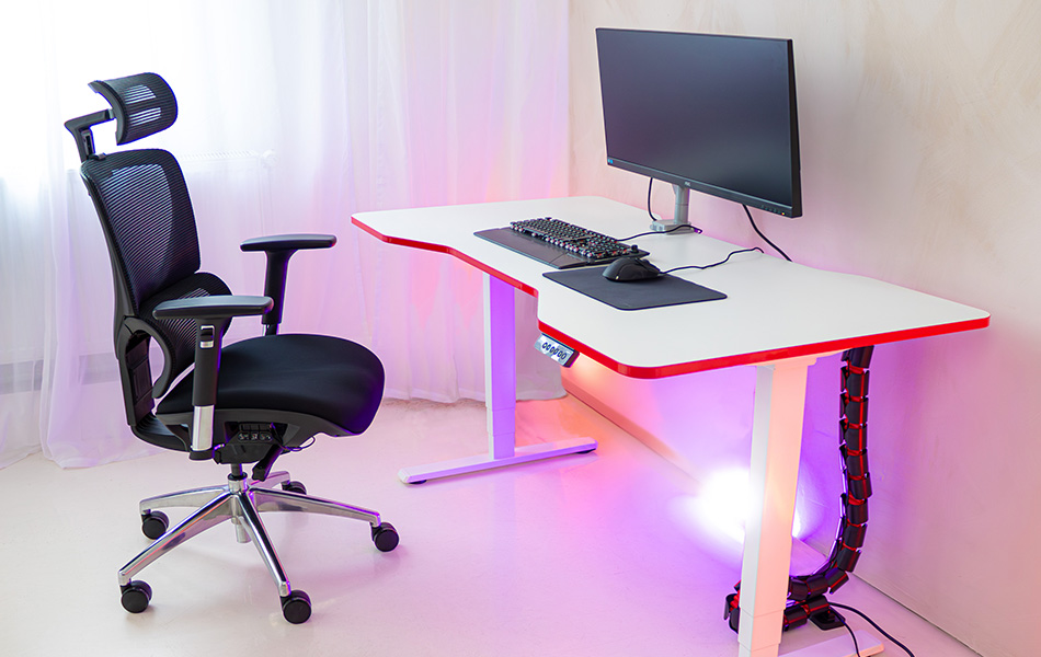 FOKUS gaming bureau