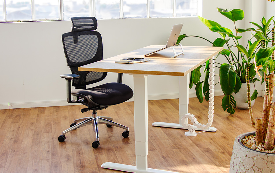 PRIMUS BUREAU / PRIMUS BUREAU XL