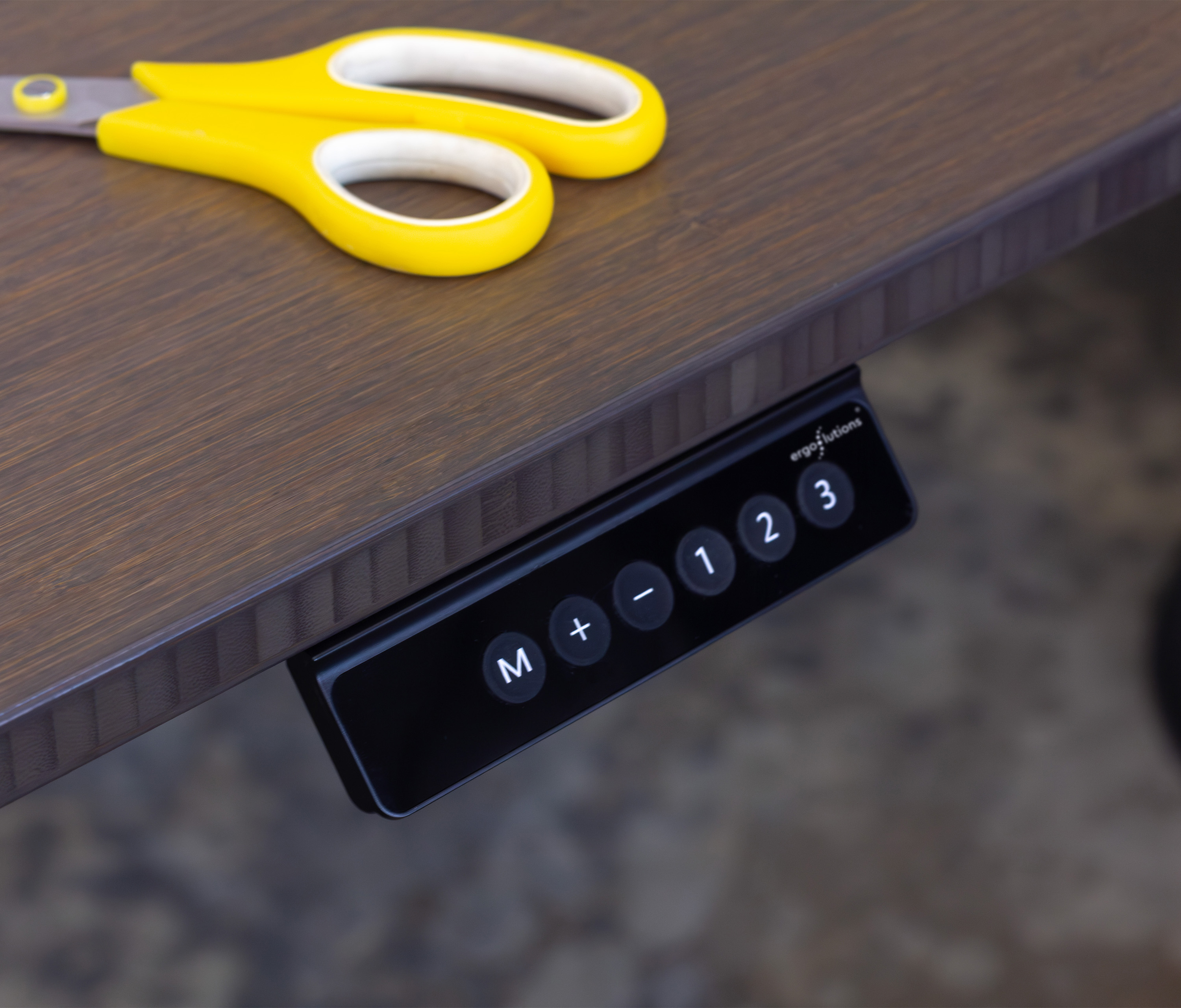 FOKUS bureau