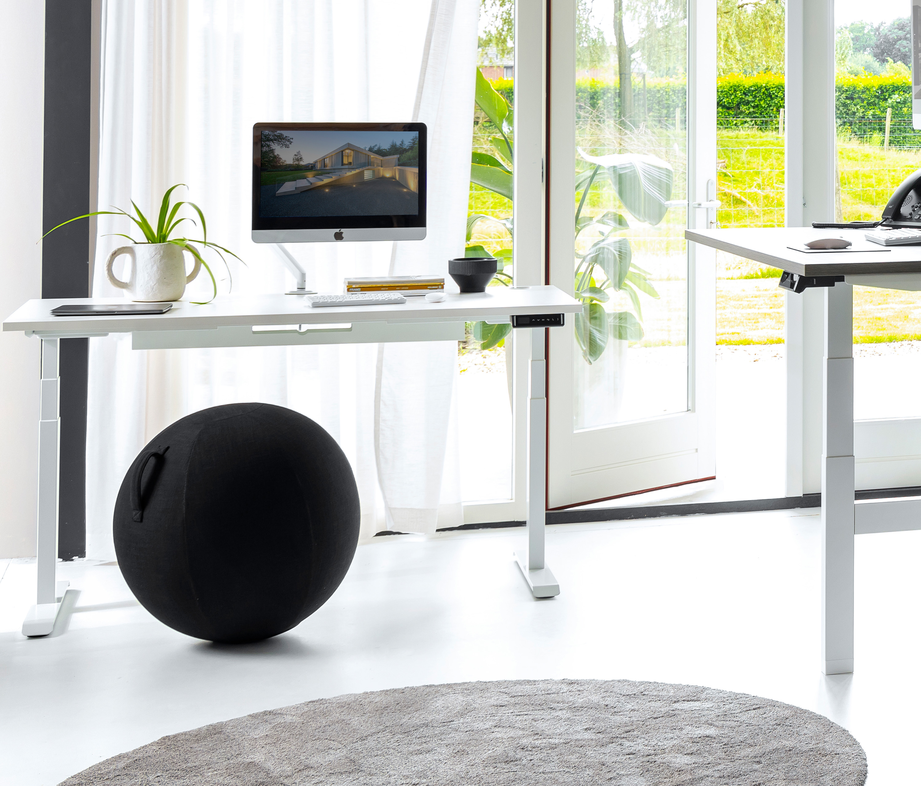 Ergonomische zitbal