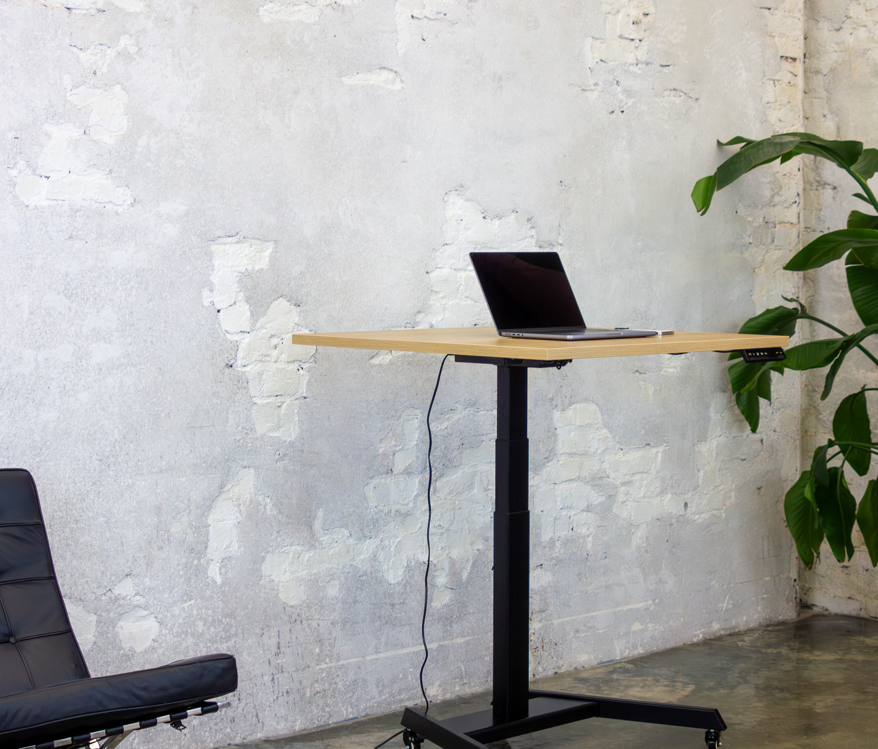 FOKUS Single bureau